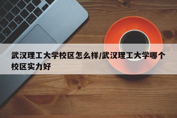 武汉理工大学校区怎么样/武汉理工大学哪个校区实力好
