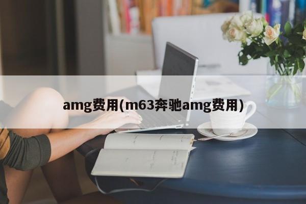 amg费用(m63奔驰amg费用)