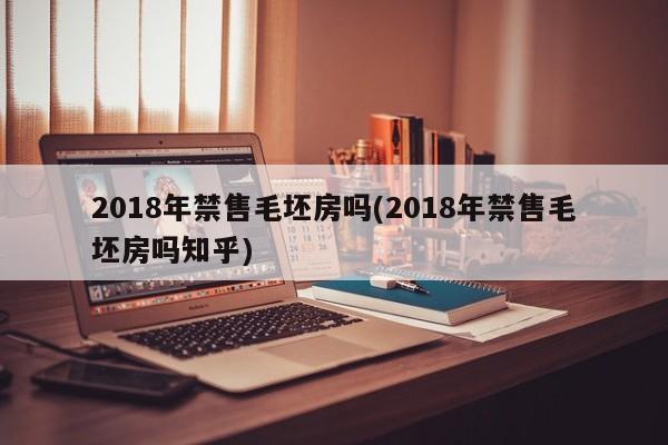 2018年禁售毛坯房吗(2018年禁售毛坯房吗知乎)