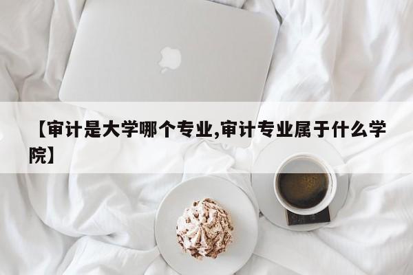 【审计是大学哪个专业,审计专业属于什么学院】