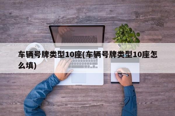 车辆号牌类型10座(车辆号牌类型10座怎么填)